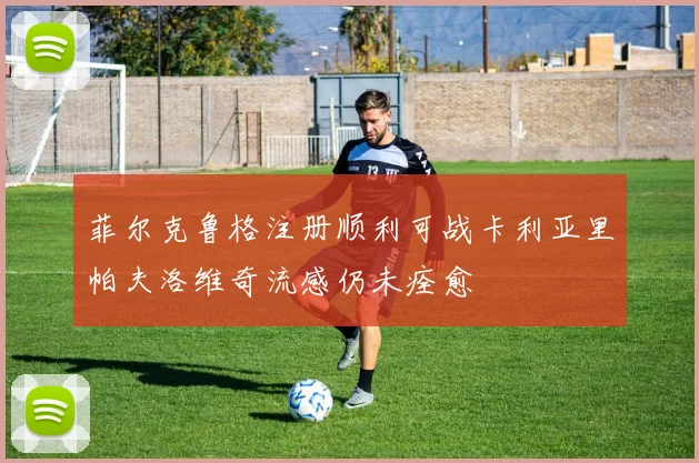 菲尔克鲁格注册顺利可战卡利亚里帕夫洛维奇流感仍未痊愈