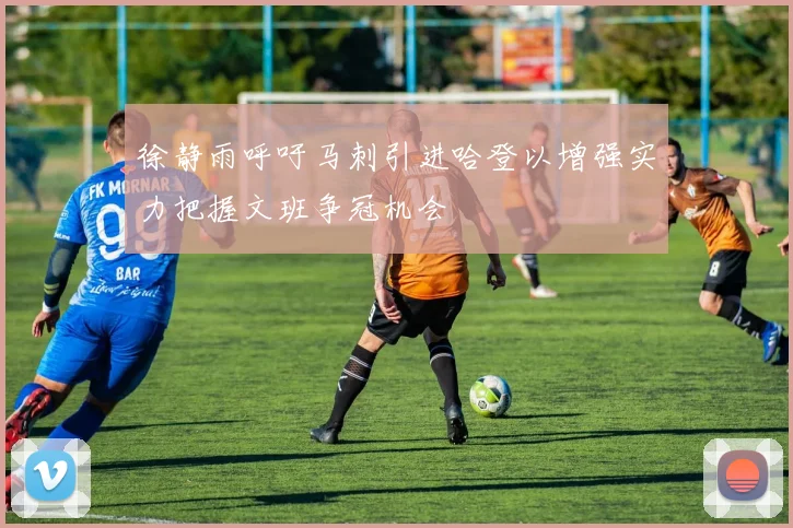 徐静雨呼吁马刺引进哈登以增强实力把握文班争冠机会