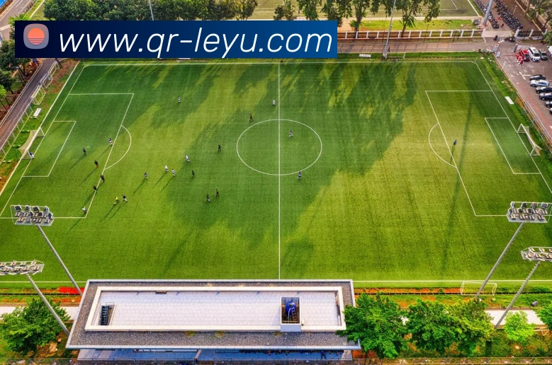 乐鱼体育APP 体育赛事宣传图