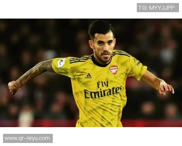 尤文图斯与莱切中卫加布里埃尔展开初步谈判引发关注